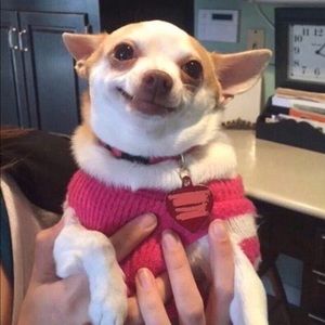 Meet your Posher, Alexandra